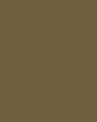 SWATCH CAT PAEQSO GRIPELESS PANTS OLIVE 400x600 10ce939b bf82 4fc2 adf1 11f4e6577154